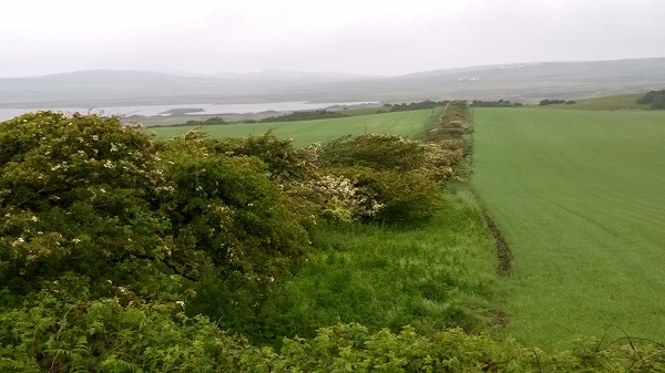 ISLAY.jpg